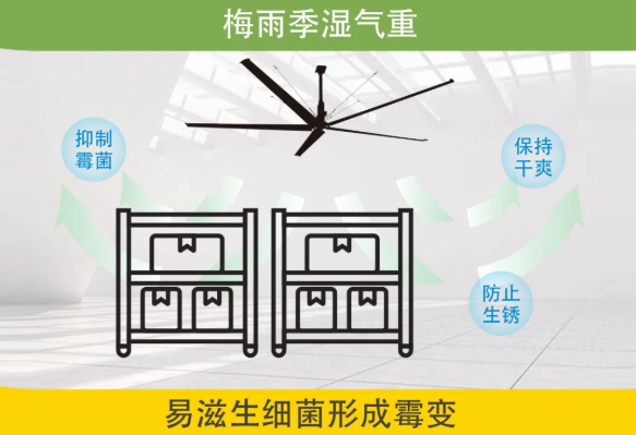  梅雨季防潮 | 大王通風(fēng)HVLS解決方案